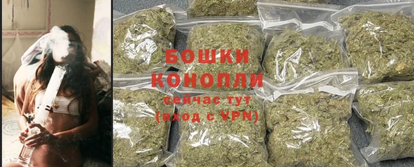 ALPHA PVP Краснослободск