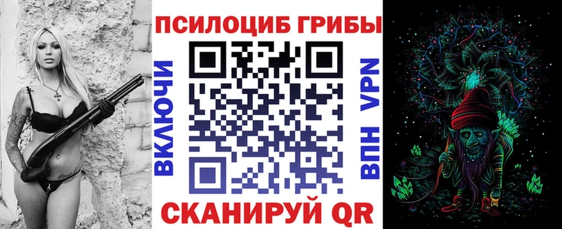Галлюциногенные грибы Psilocybine cubensis  Купить где  Глазов 